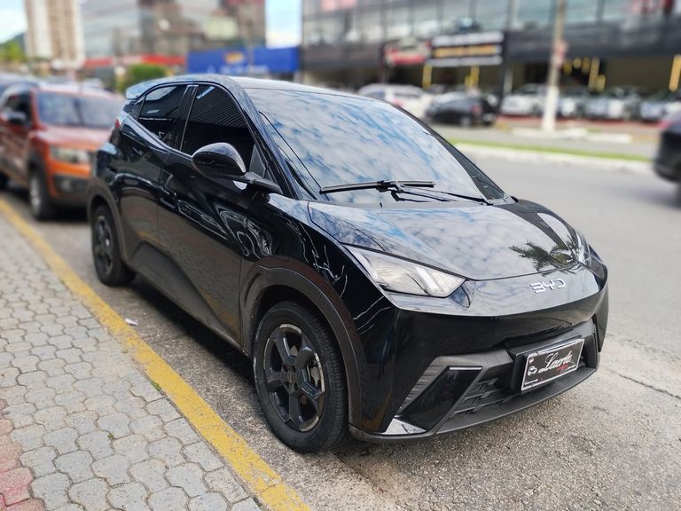 BYD Dolphin Mini (Elétrico)