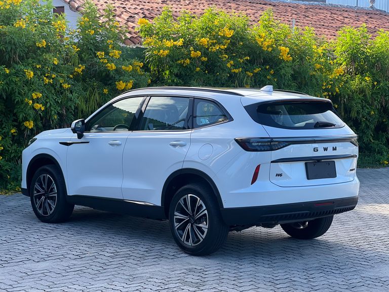 GWM Haval H6 19 1.5 (Hibrido)