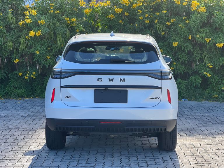 GWM Haval H6 19 1.5 (Hibrido)