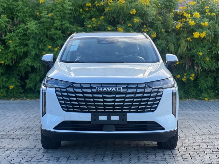 GWM Haval H6 19 1.5 (Hibrido)