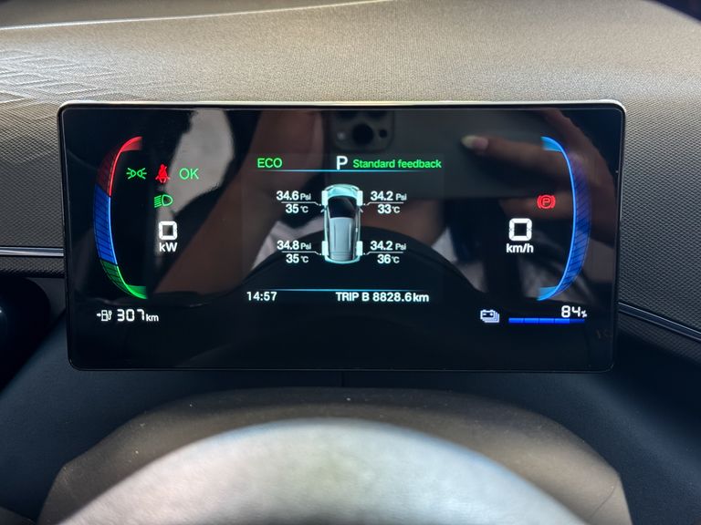 BYD Dolphin Mini (Elétrico)