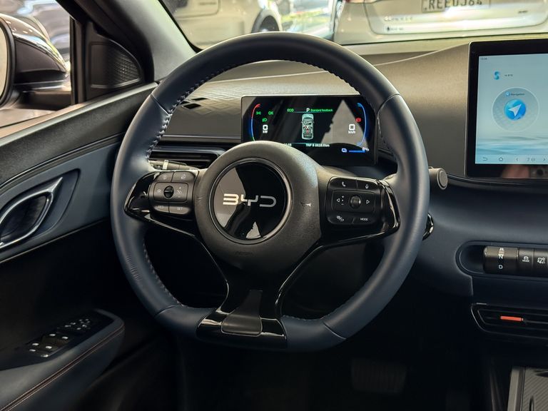 BYD Dolphin Mini (Elétrico)