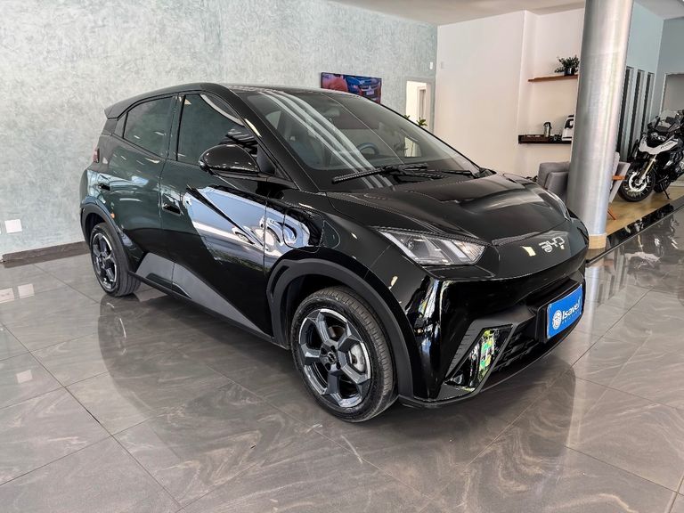 BYD Dolphin Mini (Elétrico)