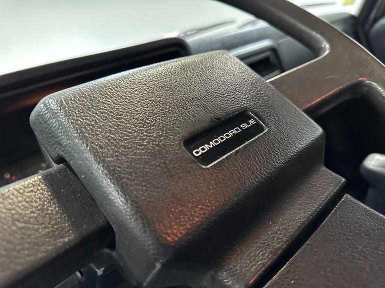 Chevrolet Caravan L/SL/S/SS 2.5/4.1/4.2