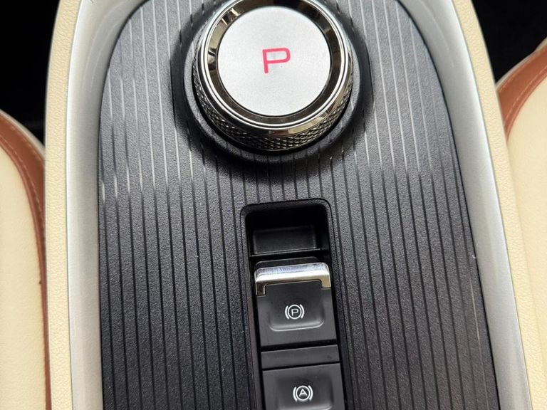 GWM Ora 03 Skin (Elétrico)