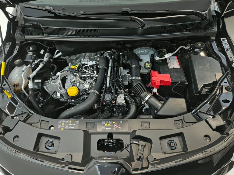 Renault Kardian Evolut. Flex 1.0 TB 12V 5p Aut.