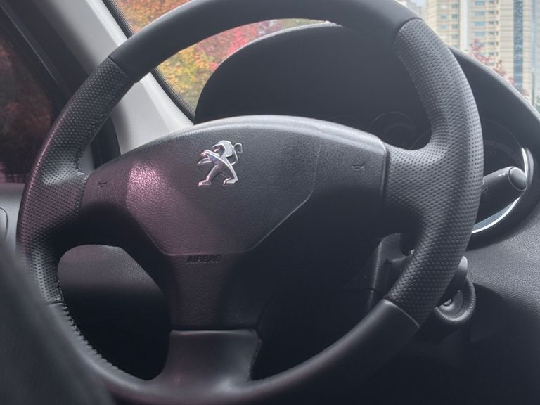 Peugeot 308 Active 1.6 Flex 16V 5p mec.
