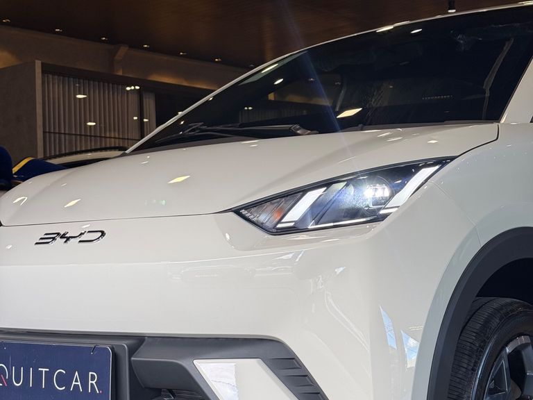 BYD Dolphin Mini (Elétrico)