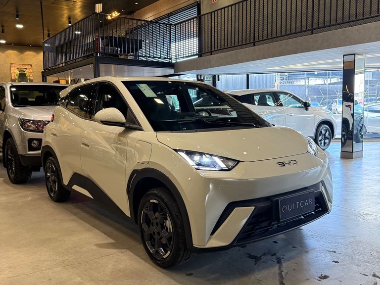 BYD Dolphin Mini (Elétrico)