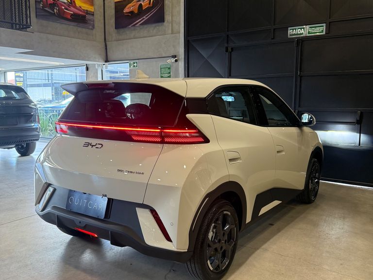 BYD Dolphin Mini (Elétrico)
