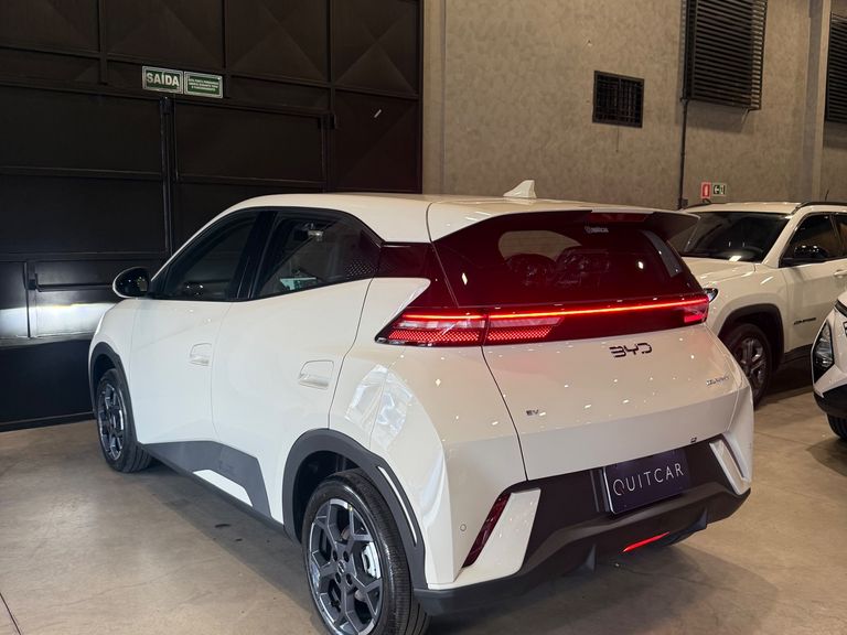 BYD Dolphin Mini (Elétrico)