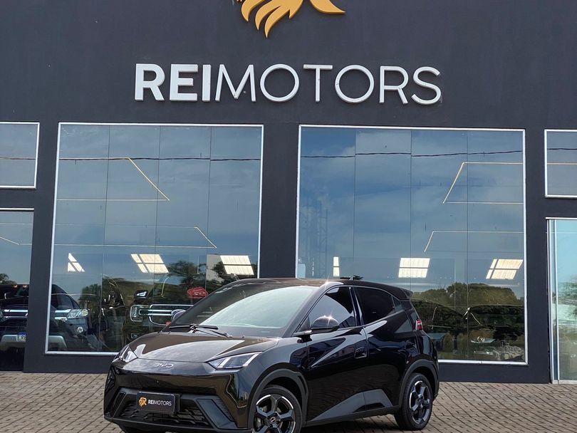BYD Dolphin Mini (Elétrico)