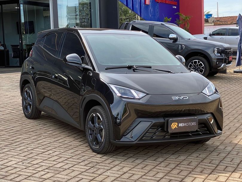 BYD Dolphin Mini (Elétrico)