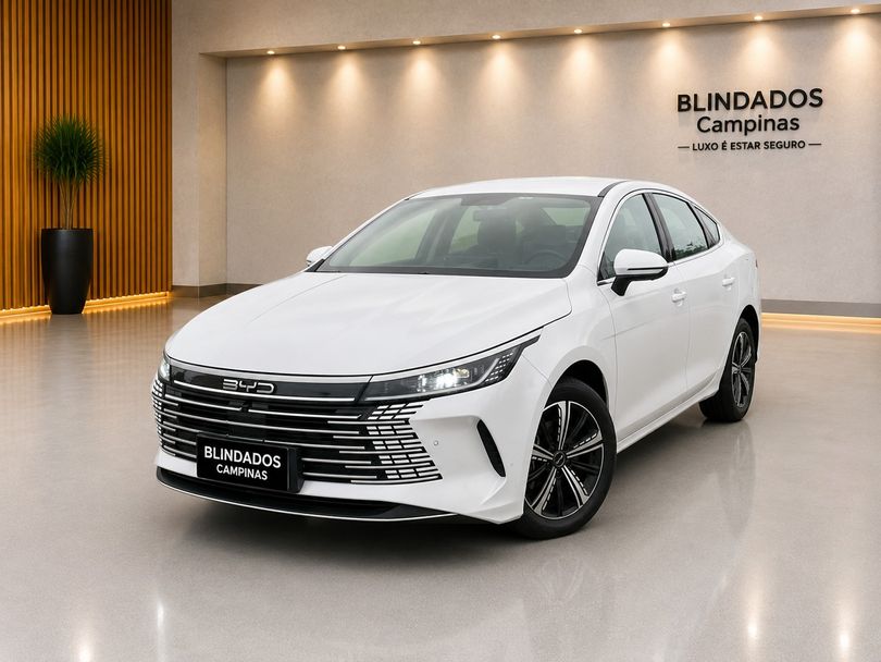 BYD KING GL