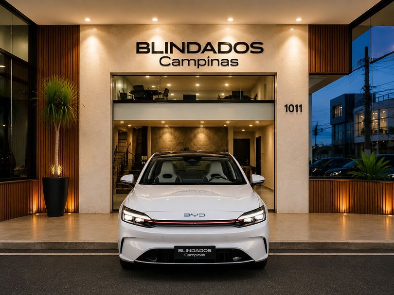 BYD KING GS