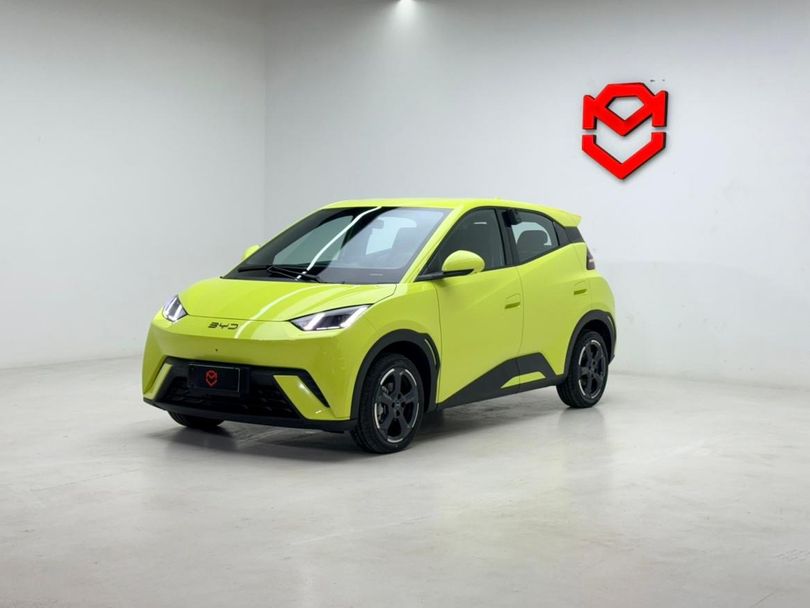 BYD Dolphin Mini (Elétrico)