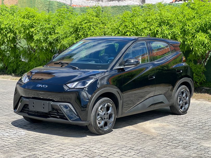 BYD Dolphin Mini (Elétrico)