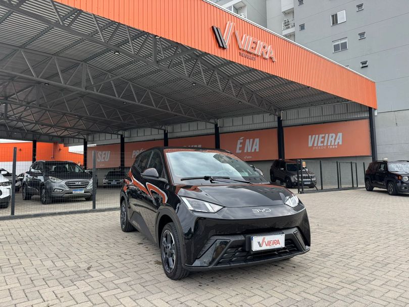 BYD Dolphin Mini (Elétrico)
