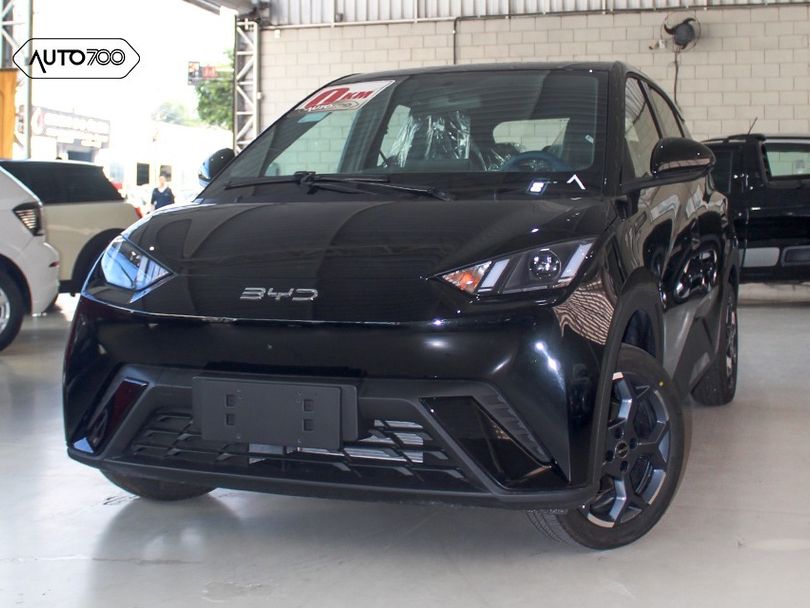 BYD Dolphin Mini (Elétrico)