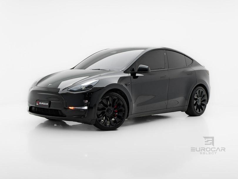 Tesla MODEL Y LONG R P