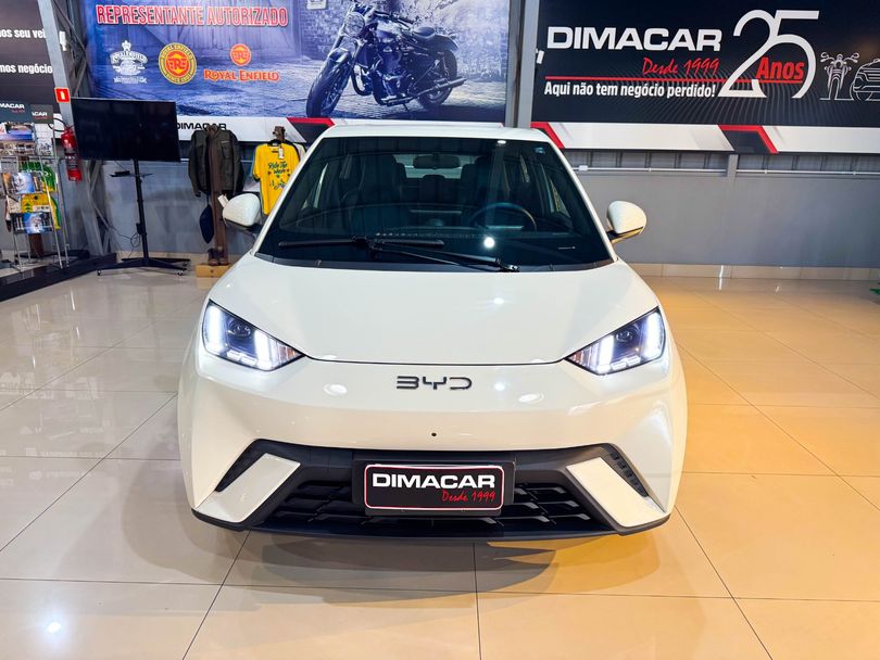 BYD Dolphin Mini (Elétrico)