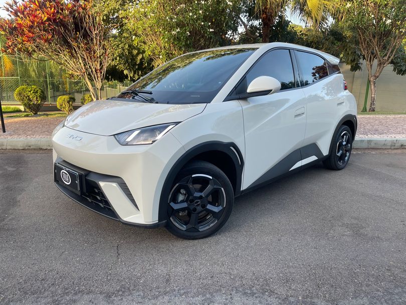 BYD Dolphin Mini (Elétrico)