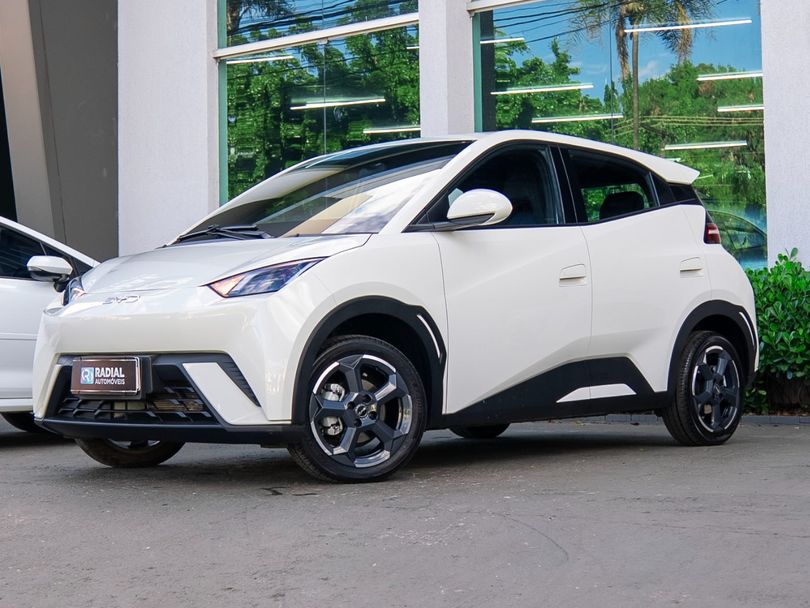 BYD Dolphin Mini (Elétrico)