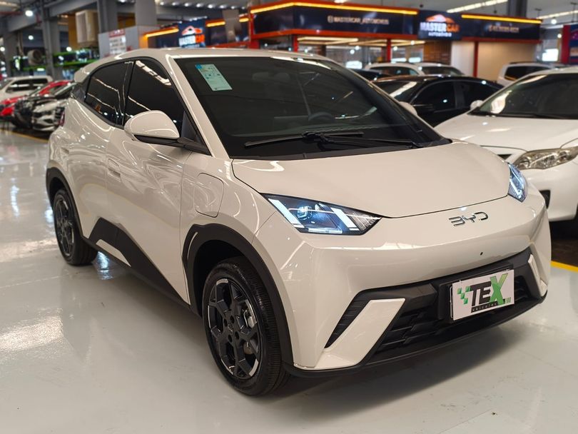 BYD Dolphin Mini (Elétrico)