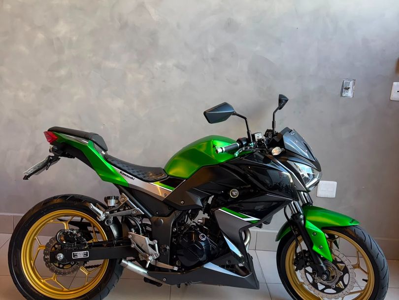 KAWASAKI Z 300