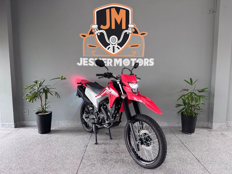 HONDA XR 300L TORNADO FLEX