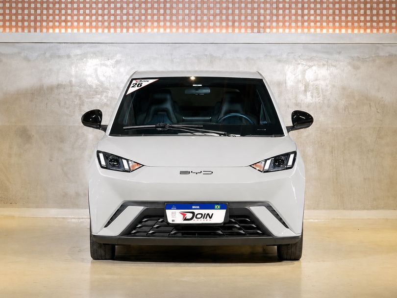 BYD Dolphin Mini (Elétrico)