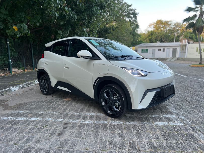 BYD Dolphin Mini GS (Elétrico)