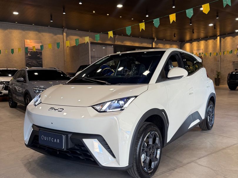BYD Dolphin Mini (Elétrico)