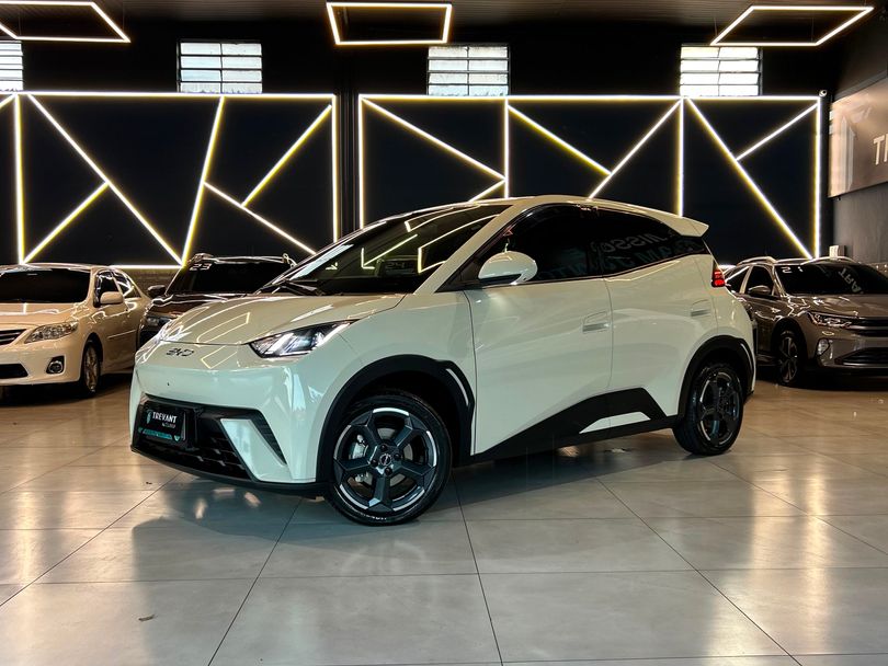 BYD Dolphin Mini (Elétrico)