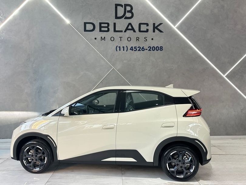 BYD DOLPHIN MINI