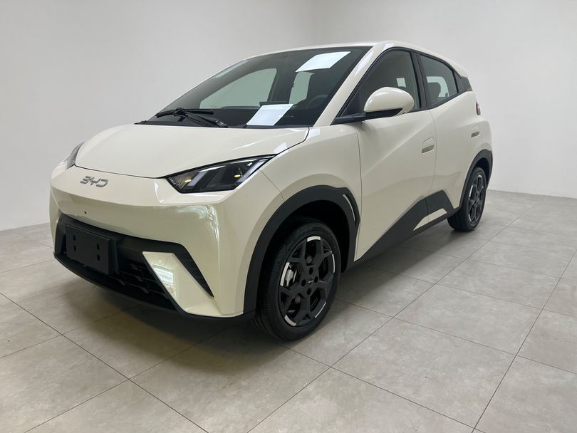 BYD Dolphin Mini (Elétrico)