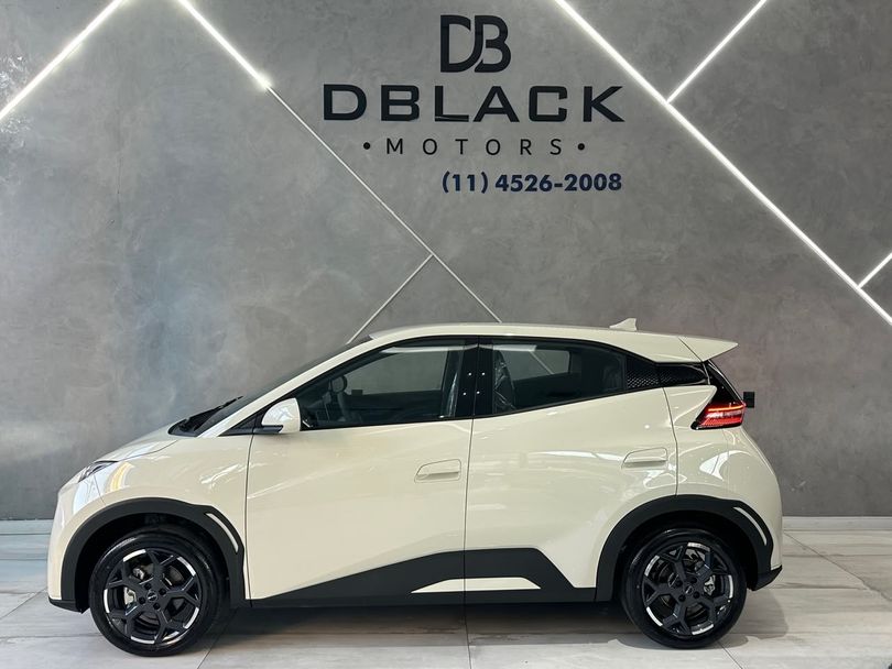 BYD DOLPHIN MINI GL