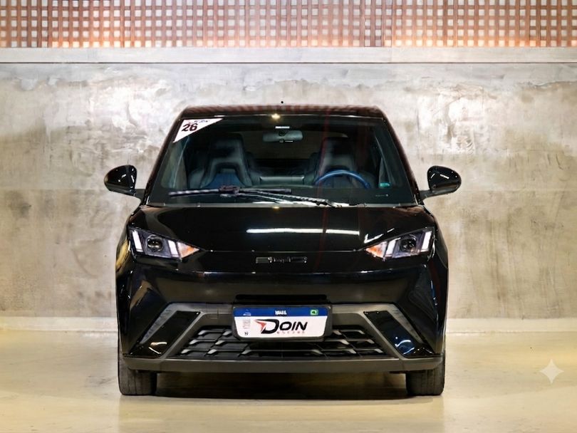 BYD Dolphin Mini (Elétrico)
