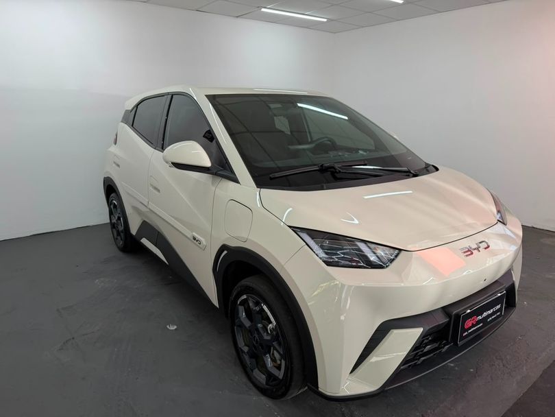 BYD Dolphin Mini (Elétrico)