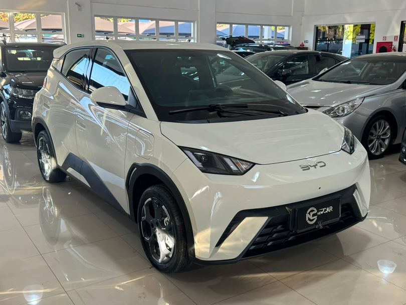 BYD Dolphin Mini (Elétrico)