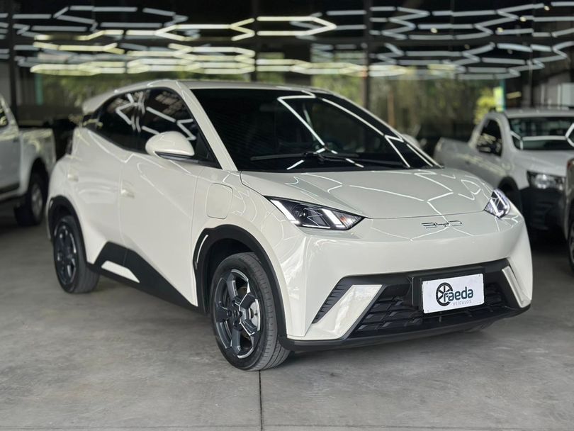 BYD Dolphin Mini (Elétrico)