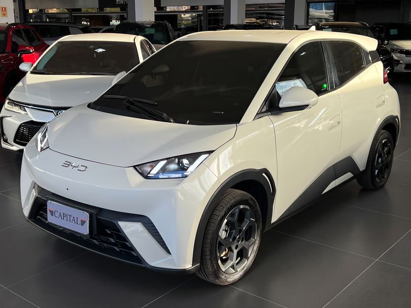 BYD Dolphin Mini (Elétrico)