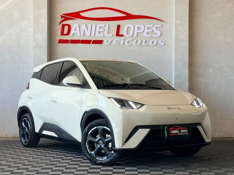 BYD Dolphin Mini (Elétrico)