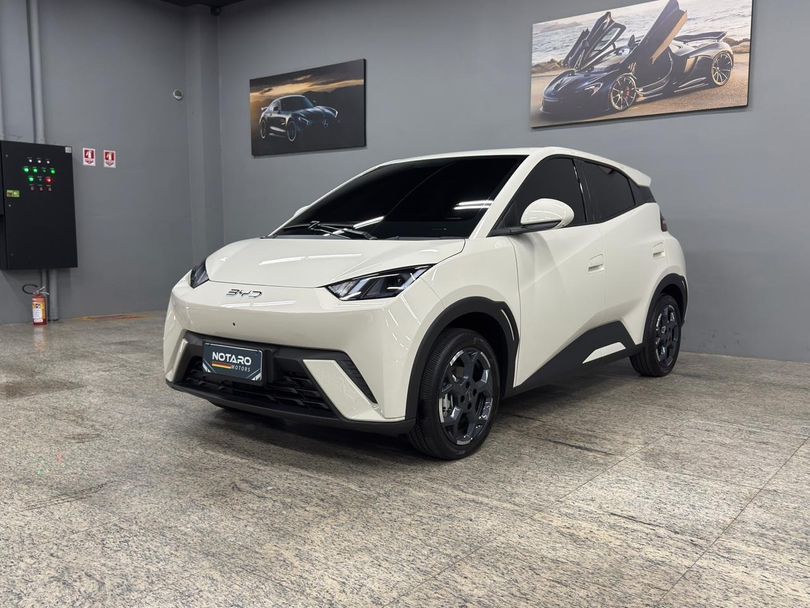 BYD Dolphin Mini GS (Elétrico)