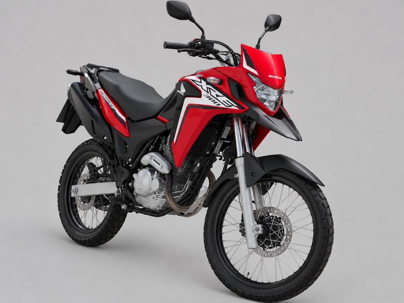 HONDA XRE 300 RALLY FLEX