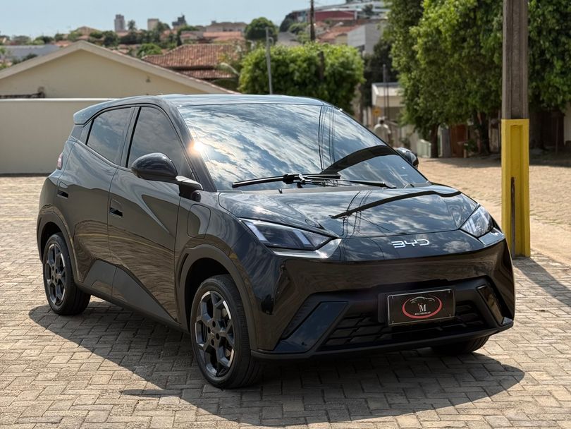 BYD Dolphin Mini GS (Elétrico)
