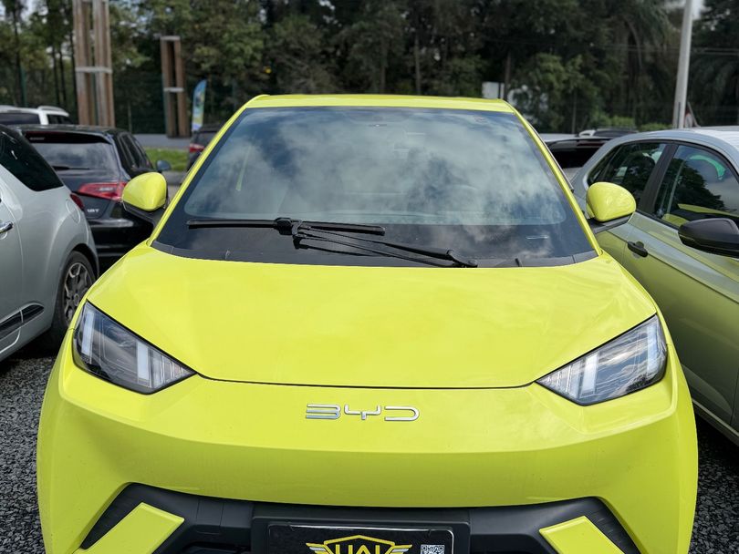 BYD Dolphin Mini GS (Elétrico)