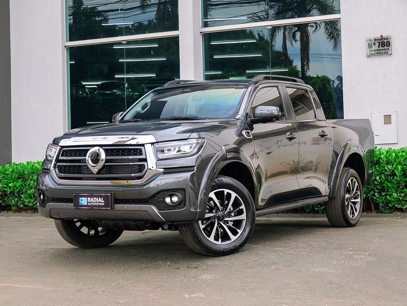 GWM P30 EXC