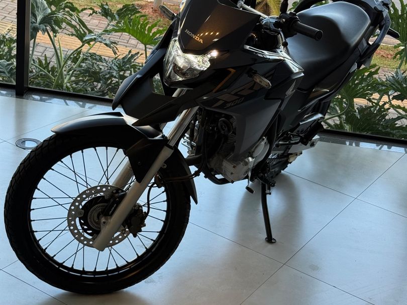 HONDA XRE 300/ 300 ABS/ FLEX