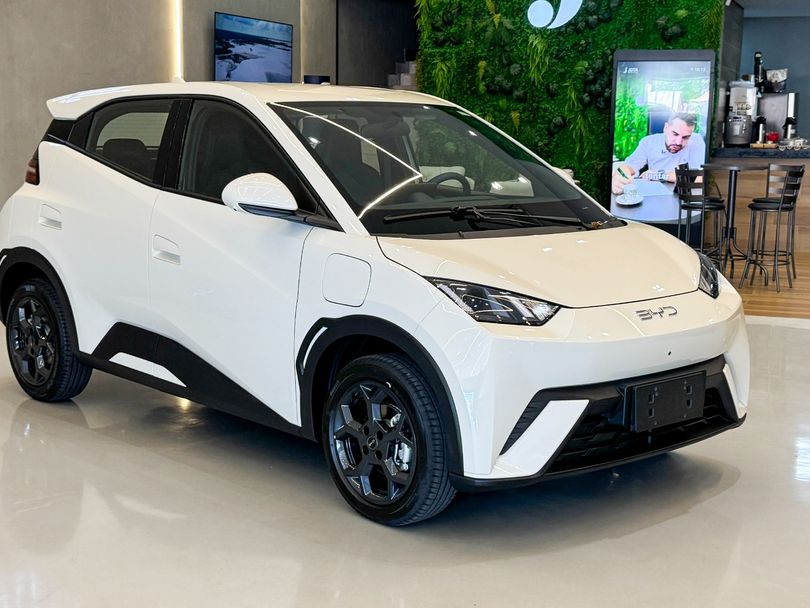 BYD Dolphin Mini GS (Elétrico)